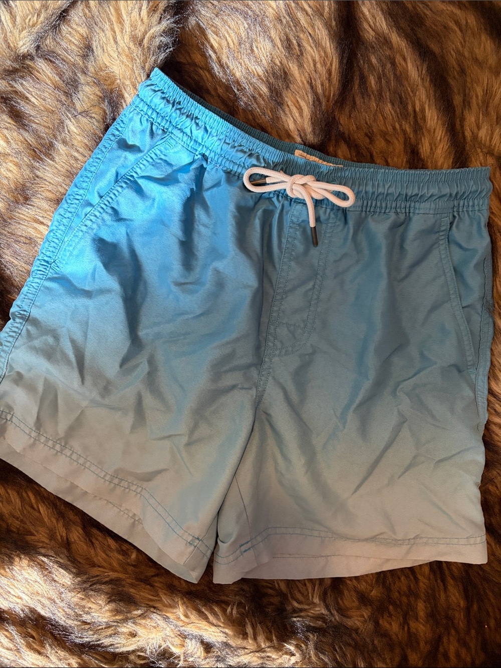 American Eagle Men's Ombre Sky Blue Swim Trunks with Drawstring Waist Size XS